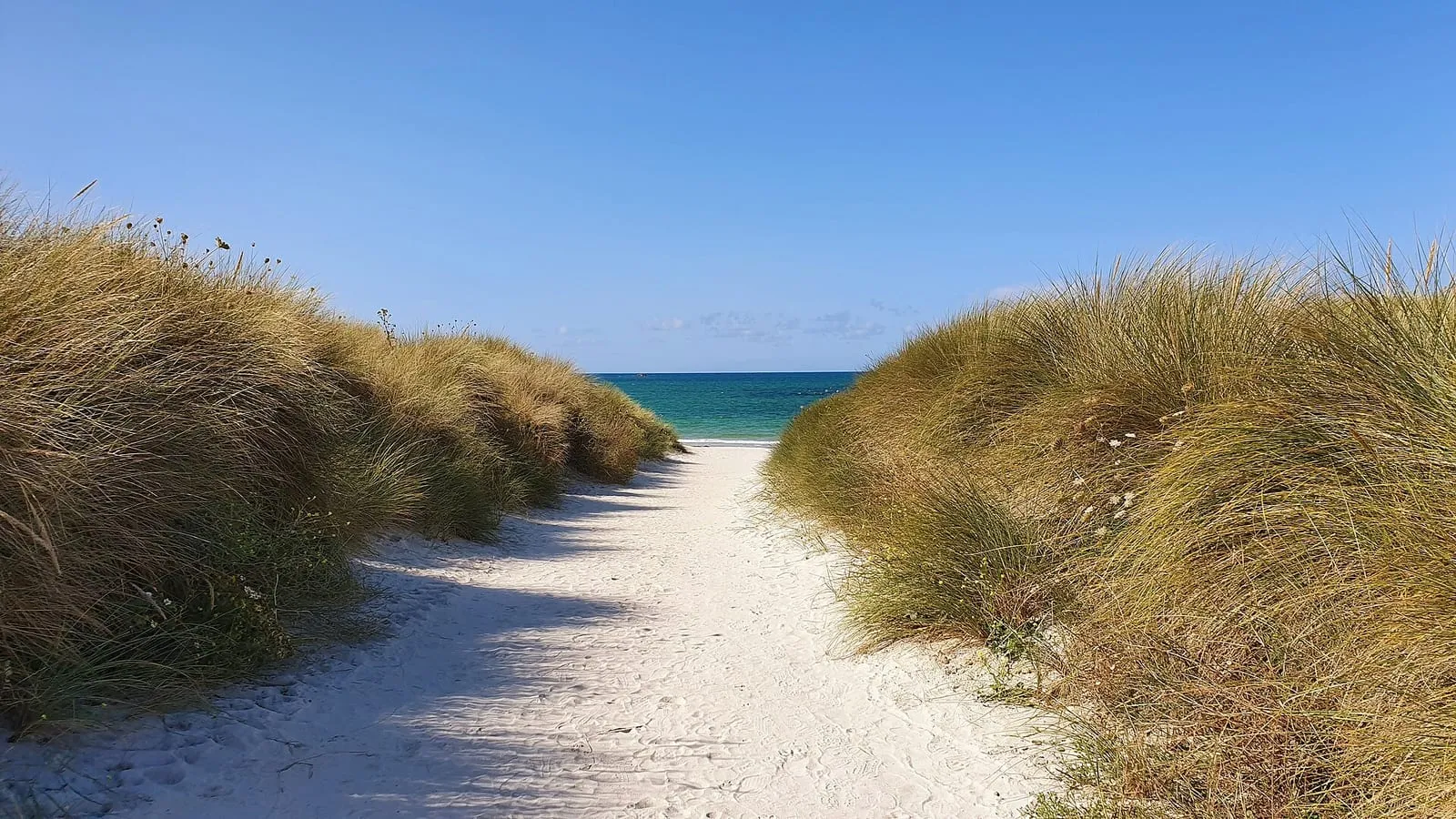 Le cordon dunaire de Keremma, à Tréflez, vu depuis la plage